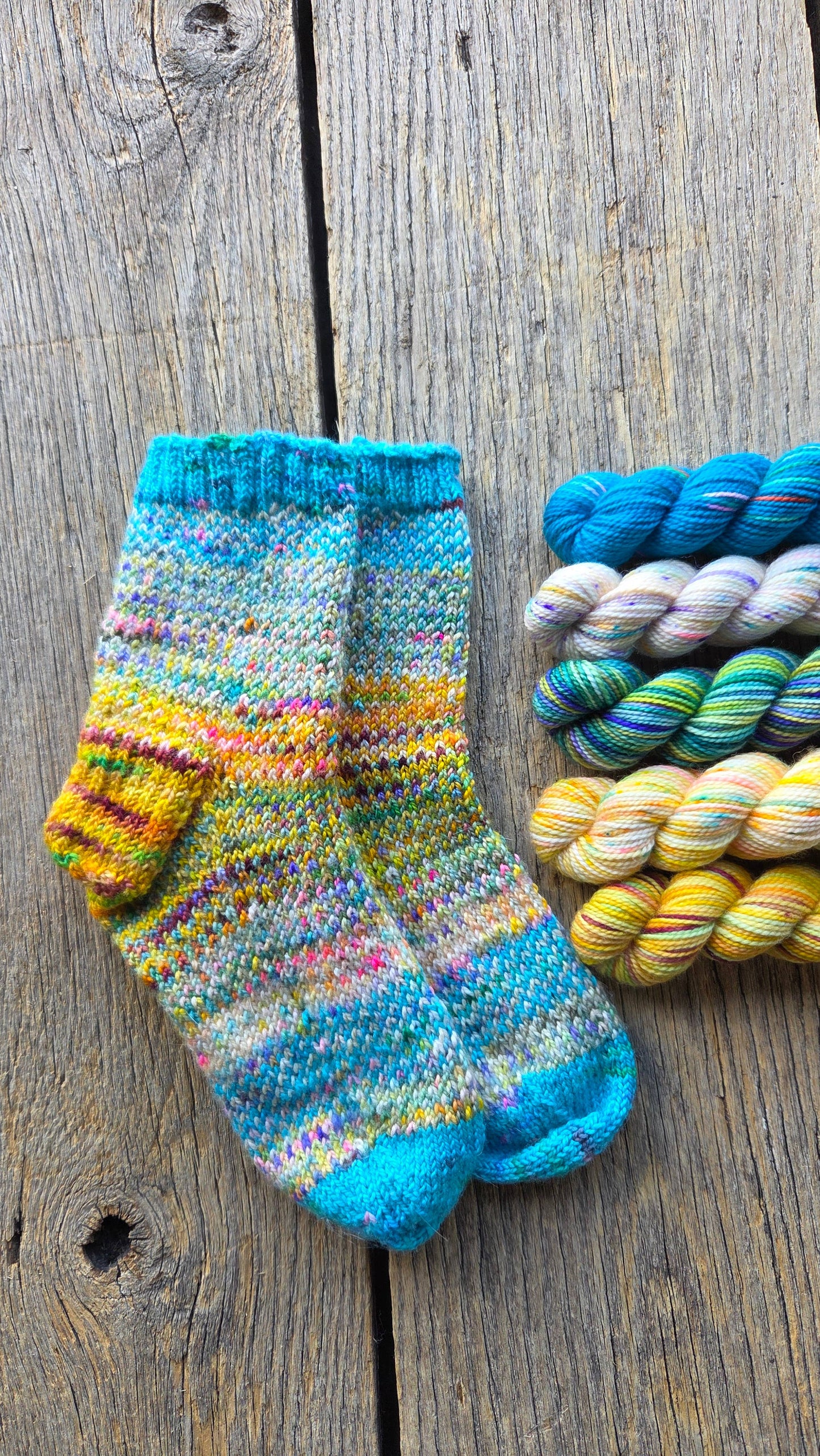 Koigu Paint Cans for SOCKS