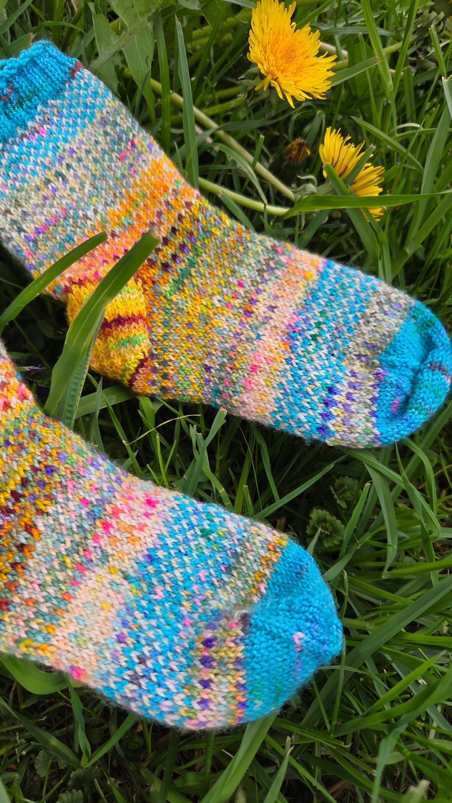 Koigu Paint Cans for SOCKS