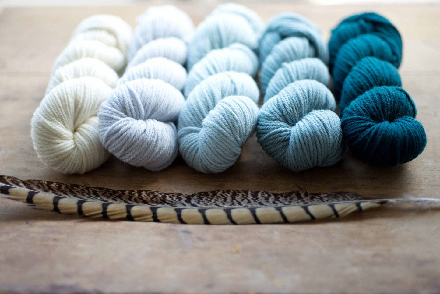 Lark 100% Wool Worsted Weight Yarn