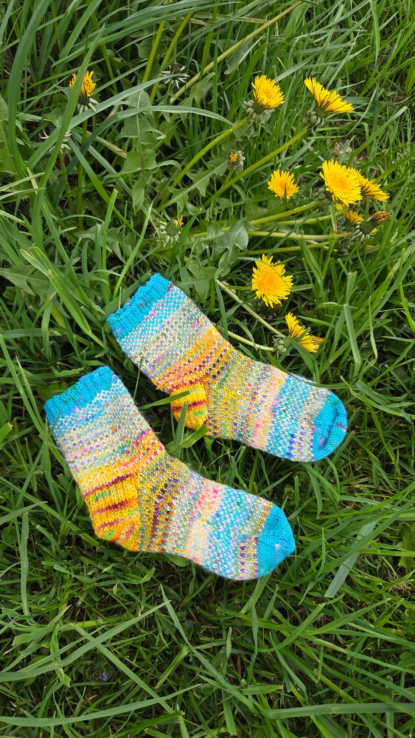 Koigu Paint Cans for SOCKS
