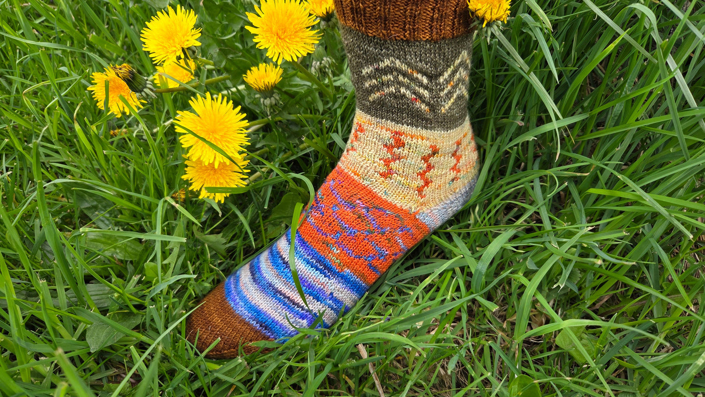Koigu Paint Cans for SOCKS