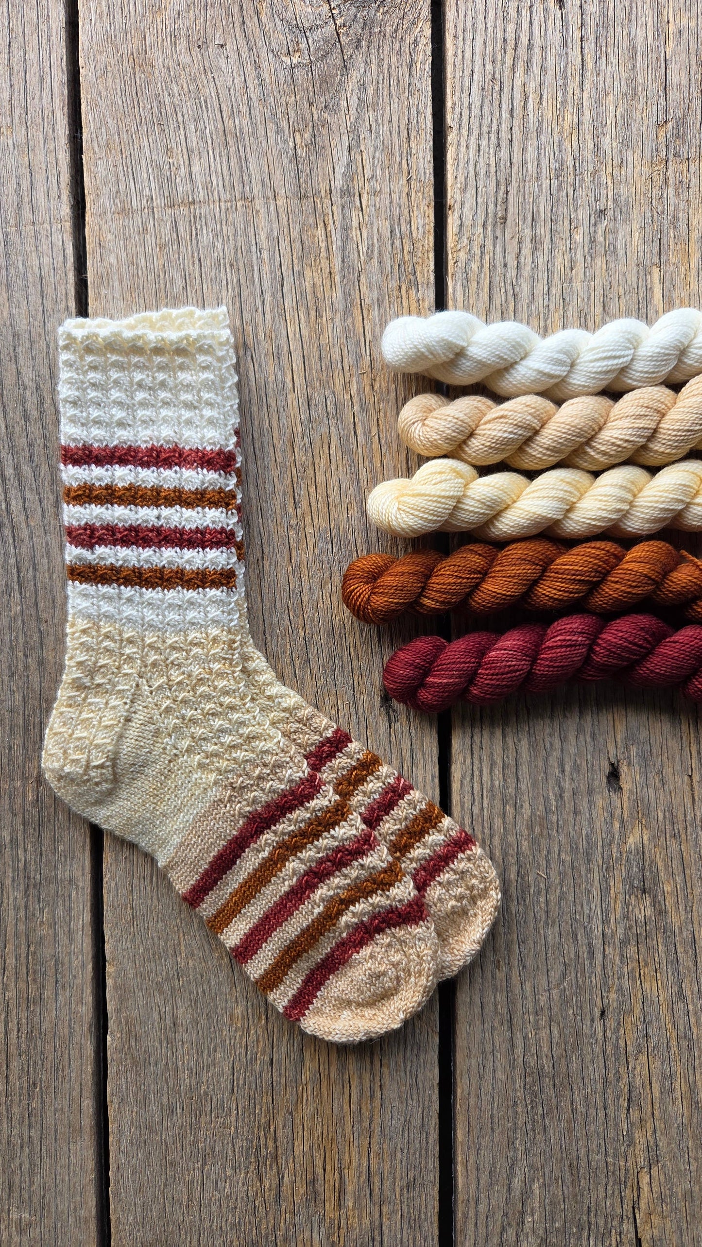 Koigu Paint Cans for SOCKS