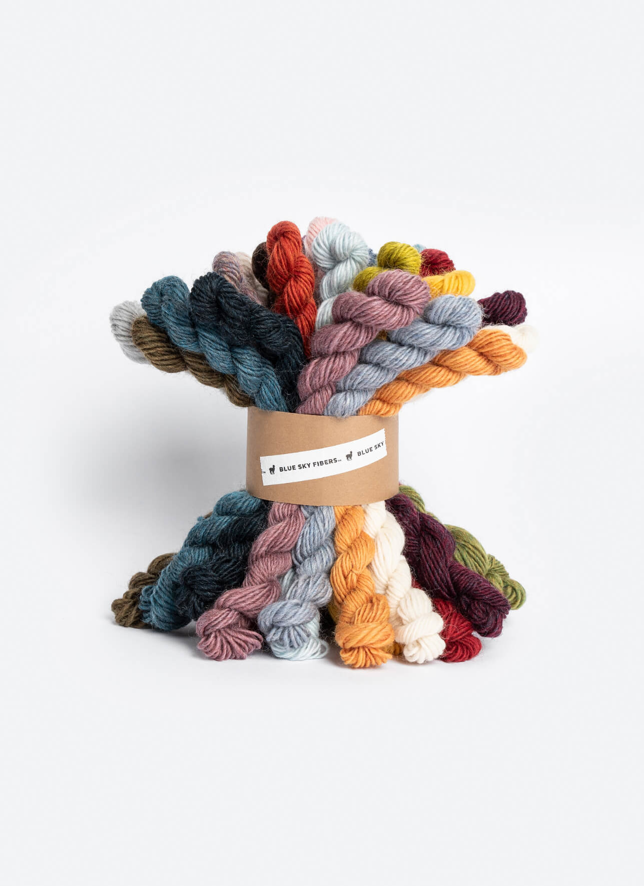 Blue Sky Woolstok Bundle 27 Color