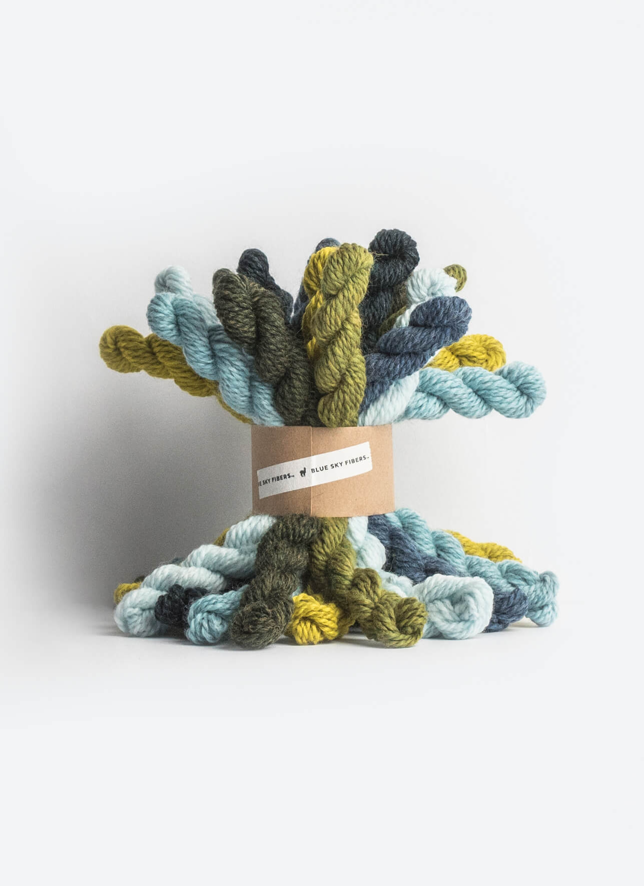 Blue Sky Woolstok Bundle 21 Color