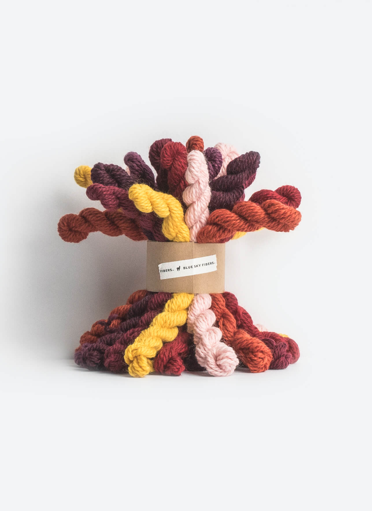 Blue Sky Woolstok Bundle 21 Color