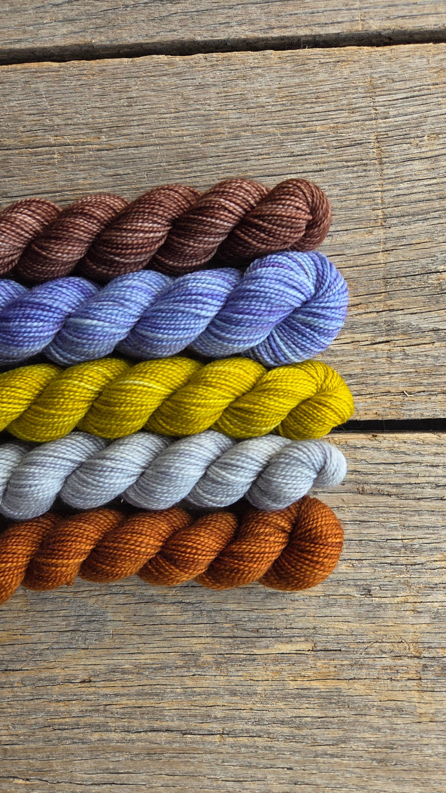 Koigu Paint Cans for SOCKS