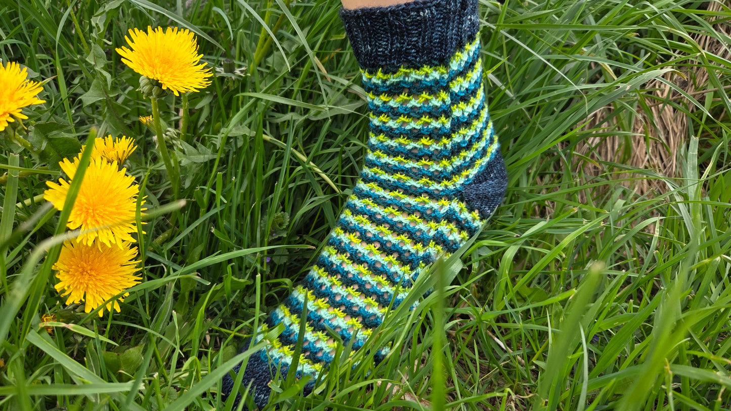 Koigu Paint Cans for SOCKS