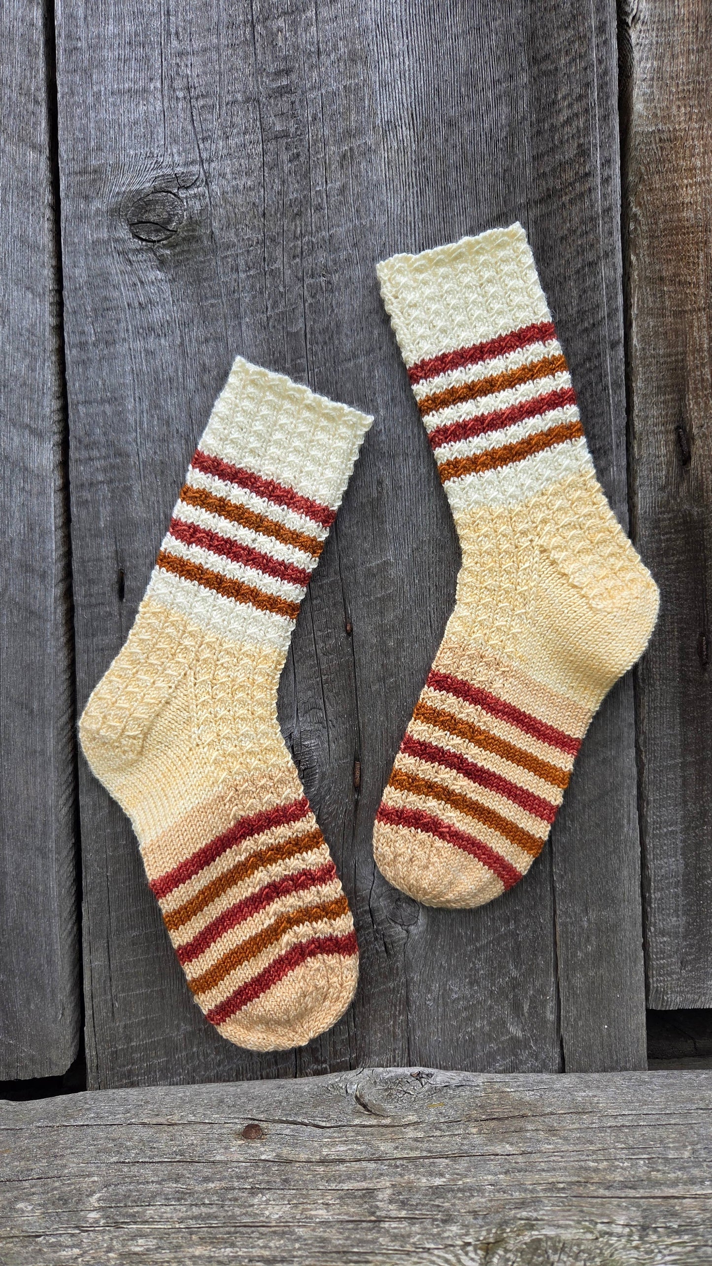 Koigu Paint Cans for SOCKS