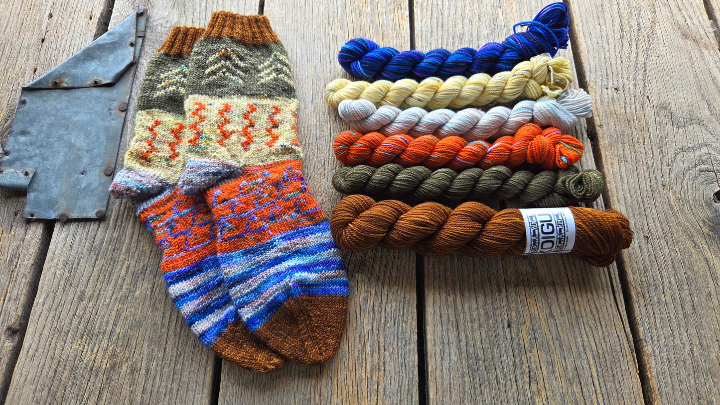 Koigu Paint Cans for SOCKS